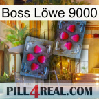 Boss Löwe 9000 15